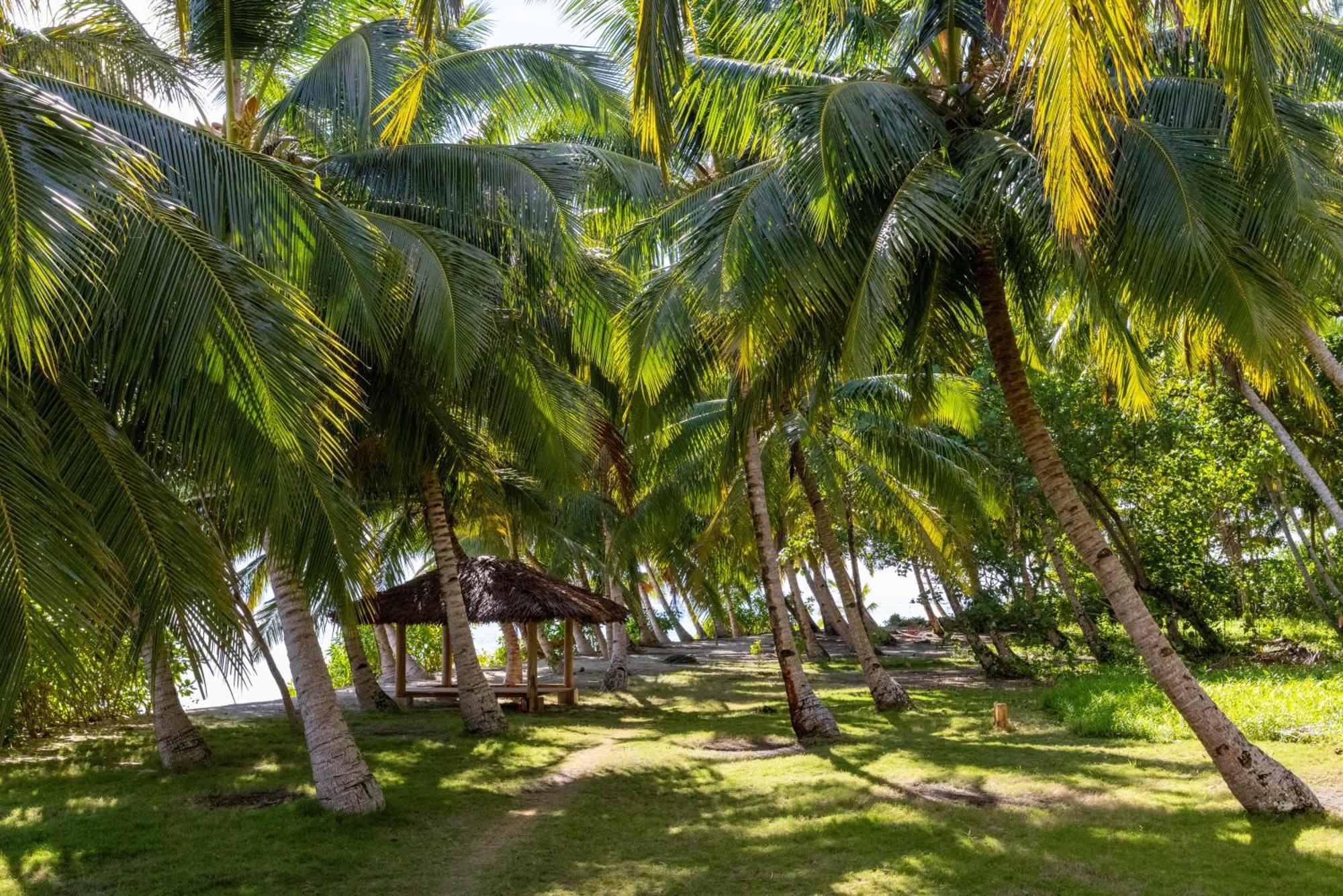Aloita Resort Mentawai Tua Pejat Eksteriør bilde